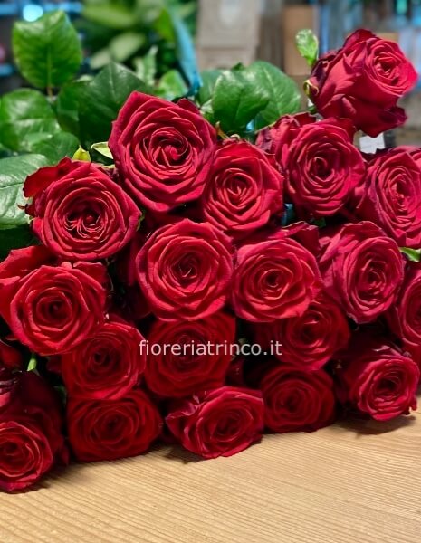 Rose rosse