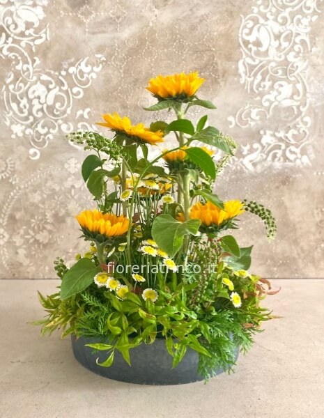 Composizione girasoli
