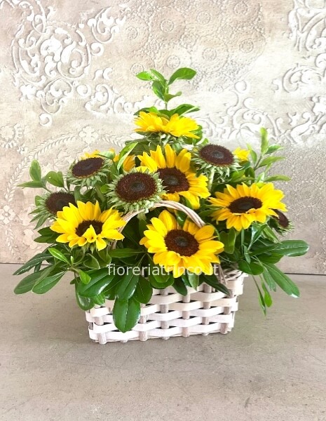 Cesto girasoli